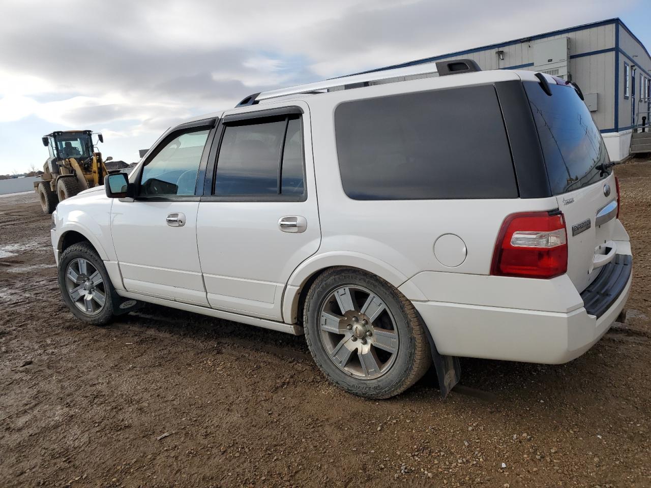 2010 Ford Expedition VIN 1FMJU2A55AEA63447 Copart auction photo, rear end damage thumbnail 2