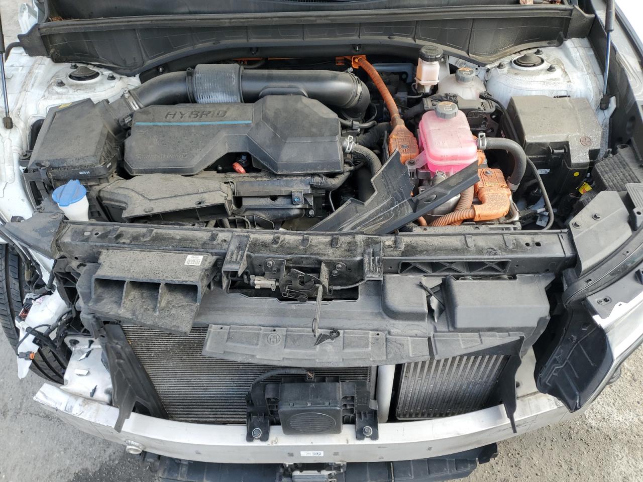 2023 KIA Sorento VIN KNDRHDLG0P5161512 Copart auction photo, front end damage thumbnail 12