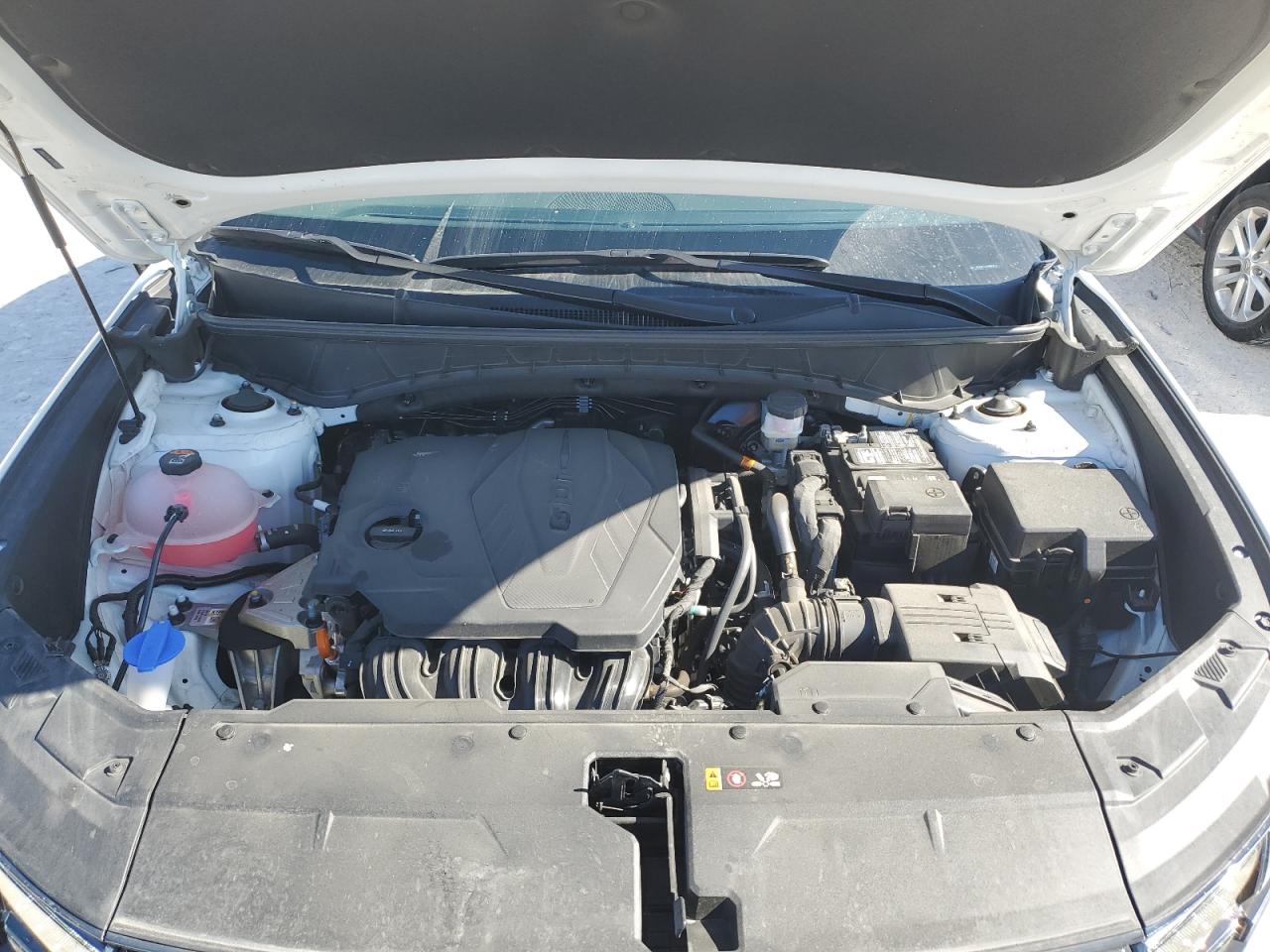 2024 Hyundai Tucson VIN 5NMJECDE4RH378221 Copart auction photo, side / minor dent/scratches damage thumbnail 12