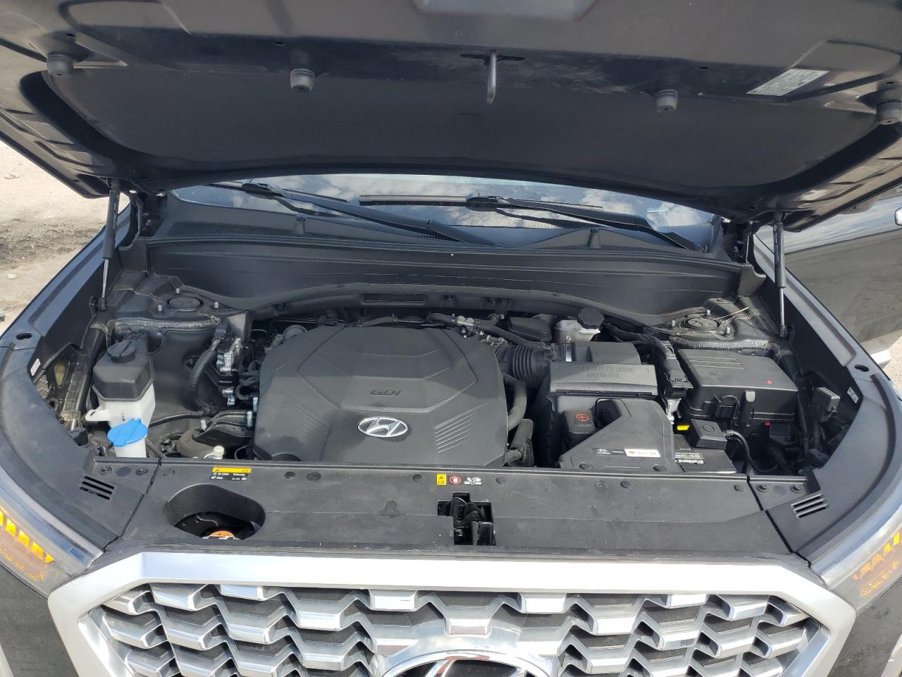 2020 Hyundai Palisade VIN KM8R44HE4LU144243 Copart auction photo, side / rear end damage thumbnail 12