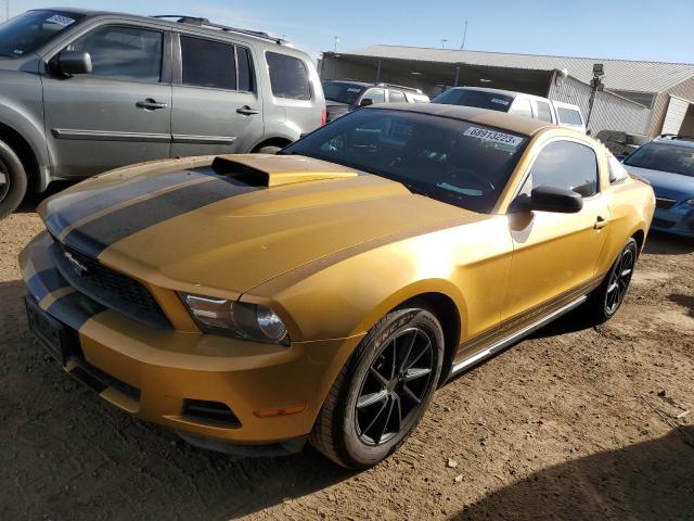 2010 Ford Mustang VIN 1ZVBP8AN6A5127981 - Copart auction photo