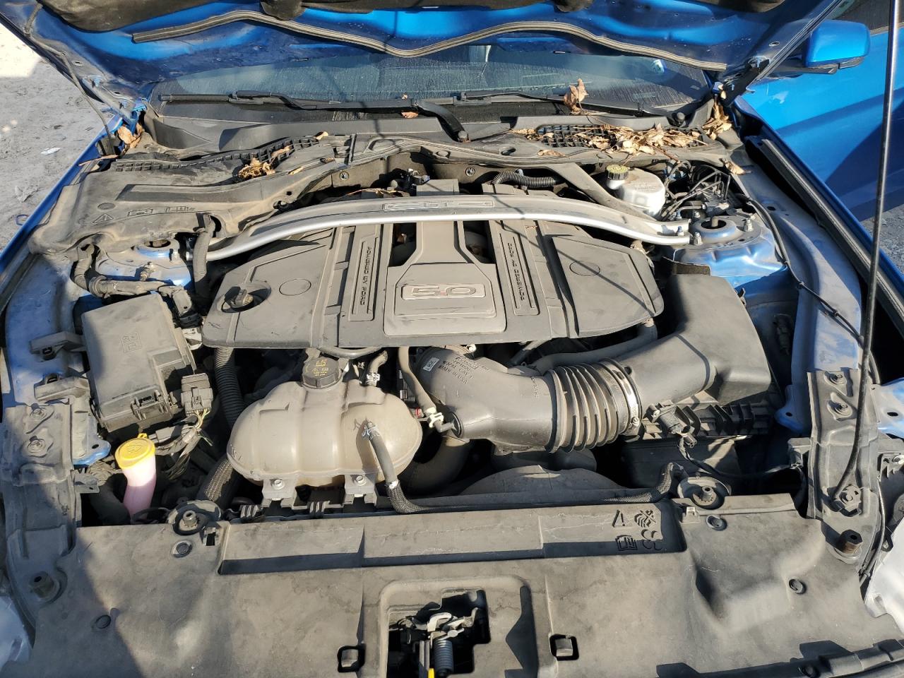 2019 Ford Mustang VIN 1FA6P8CF6K5128288 Copart auction photo, rear end / minor dent/scratches damage thumbnail 11