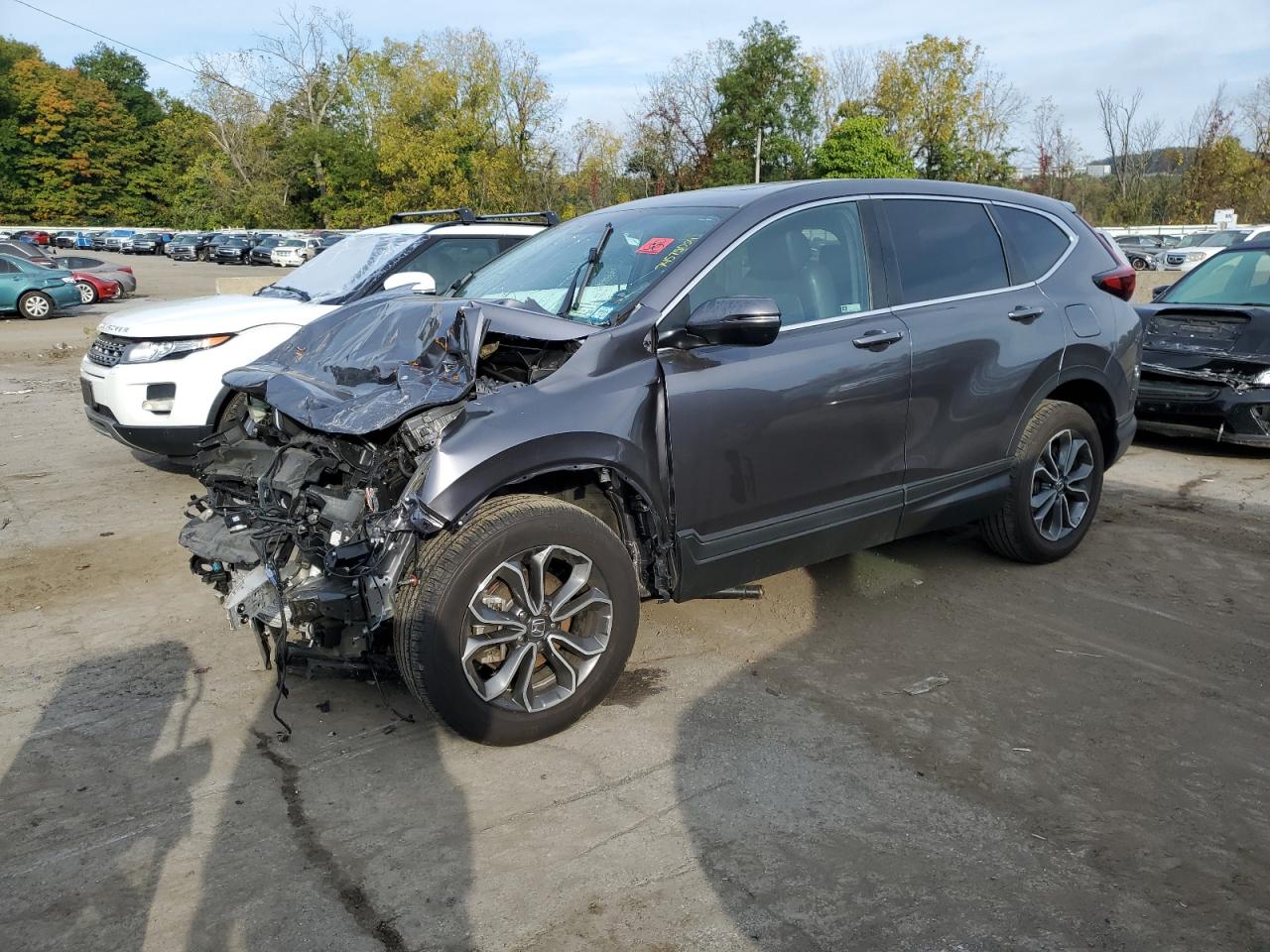 2020 Honda CR-V VIN 7FARW2H89LE009253