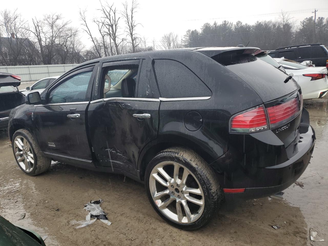 2010 Lincoln MKX VIN 2LMDJ8JC9ABJ28887 Copart auction photo, side damage thumbnail 2