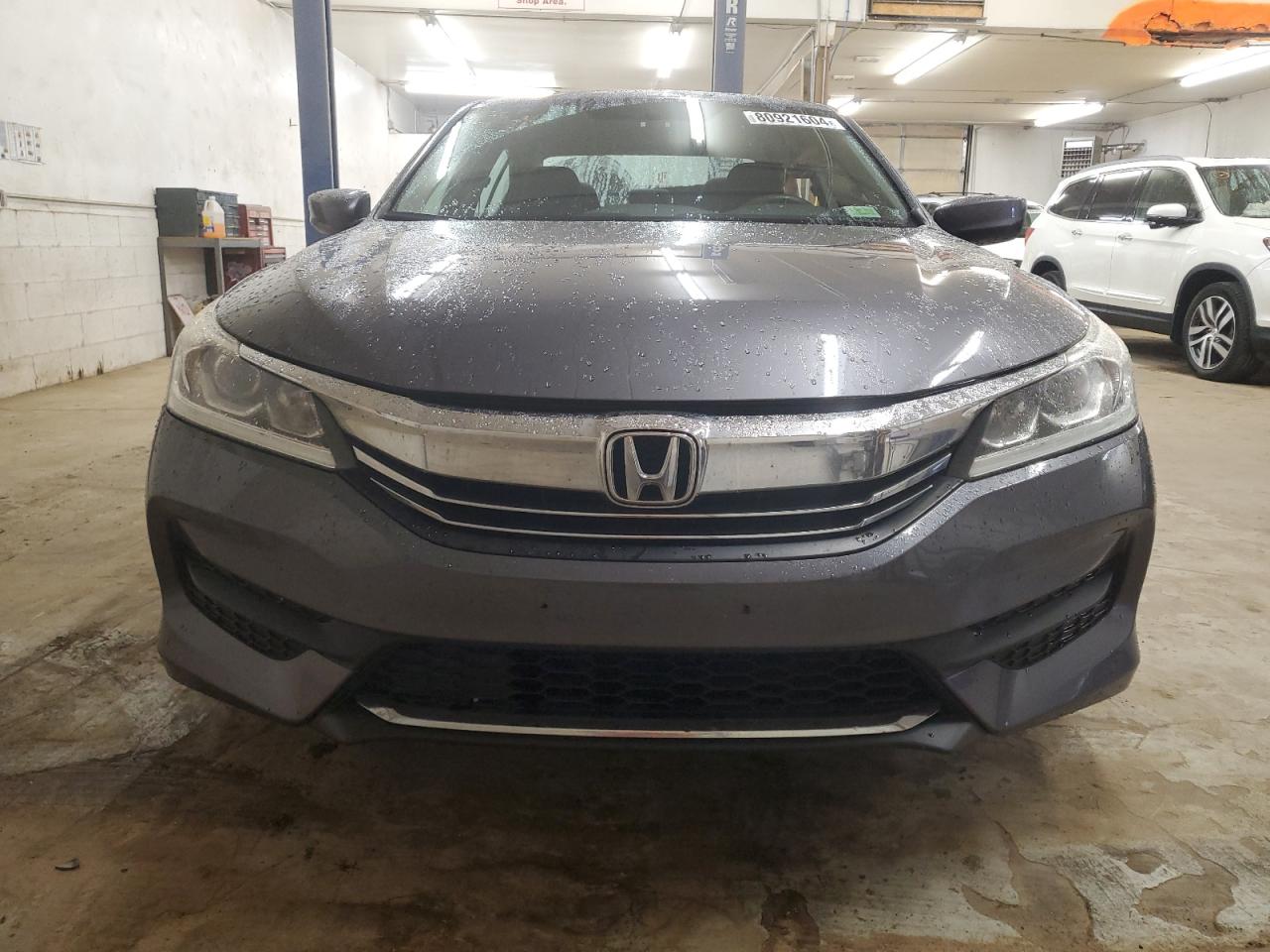 2017 Honda Accord VIN 1HGCR2F31HA135754 Copart auction photo, side damage thumbnail 5