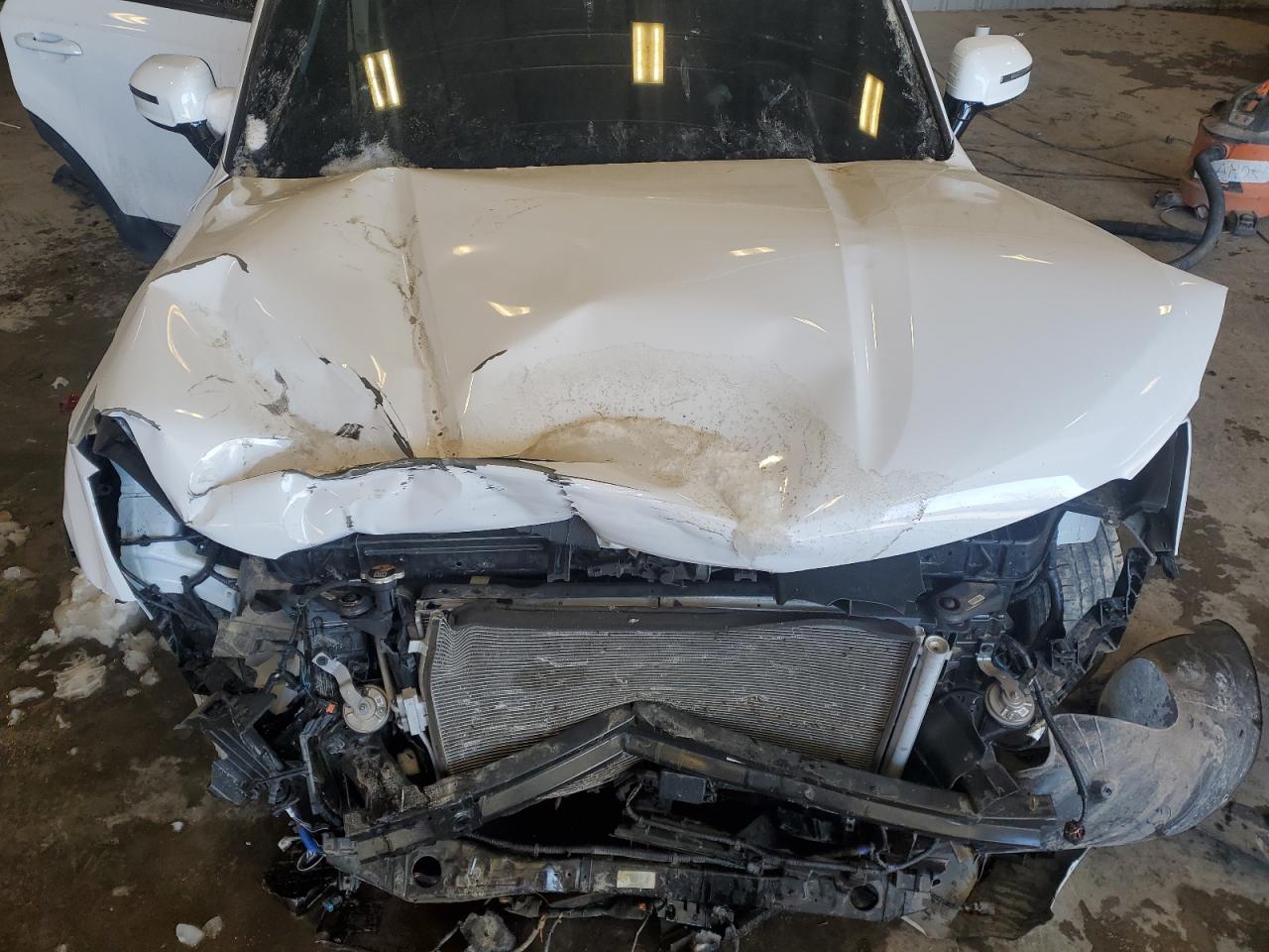2023 KIA Telluride VIN 5XYP5DGC8PG374707 Copart auction photo, front end / side damage thumbnail 11