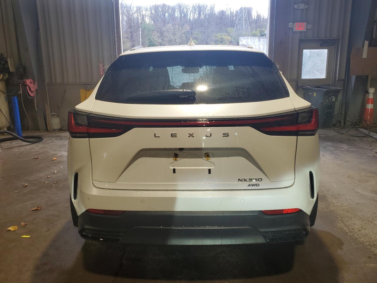 2024 Lexus NX VIN 2T2GGCEZ2RC039917 Copart auction photo, mechanical / front end damage thumbnail 6