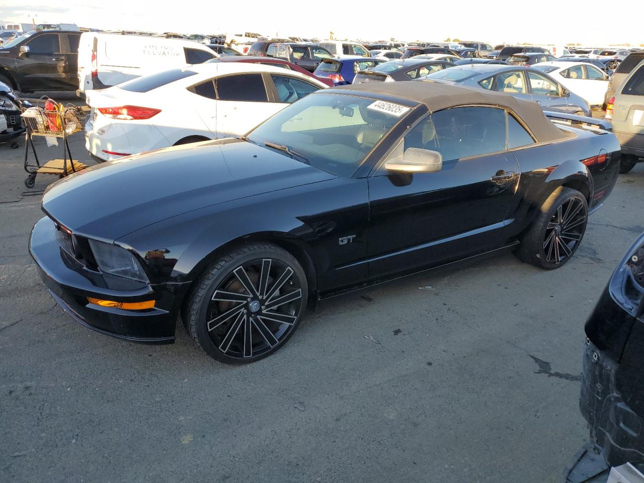 2005 Ford Mustang VIN 1ZVFT85H255174223
