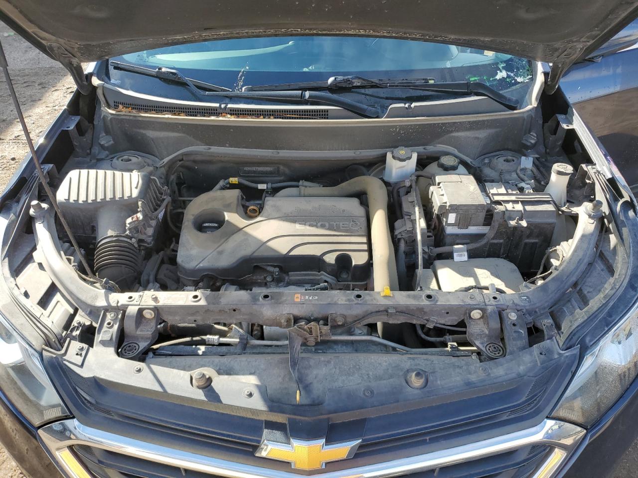 2019 Chevrolet Equinox VIN 3GNAXUEV1KS536955 Copart auction photo, side / rear end damage thumbnail 12