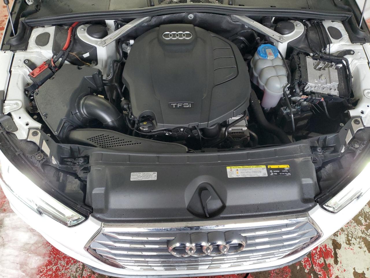 2019 Audi A4 VIN WAUENAF48KN005618 Copart auction photo, rear end damage thumbnail 11