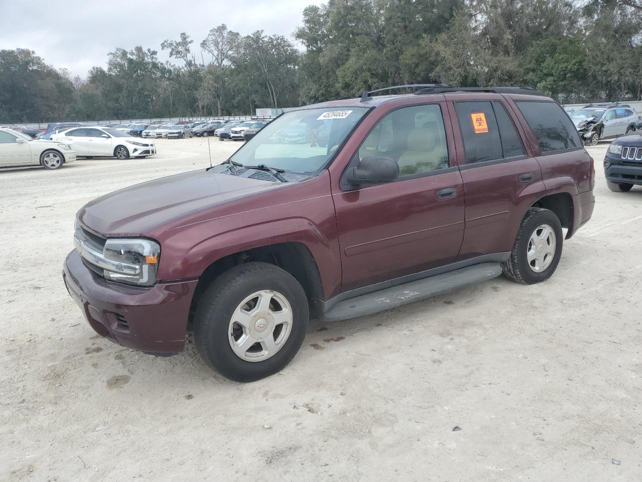 2007 Chevrolet TrailBlazer VIN 1GNDS13S972171950