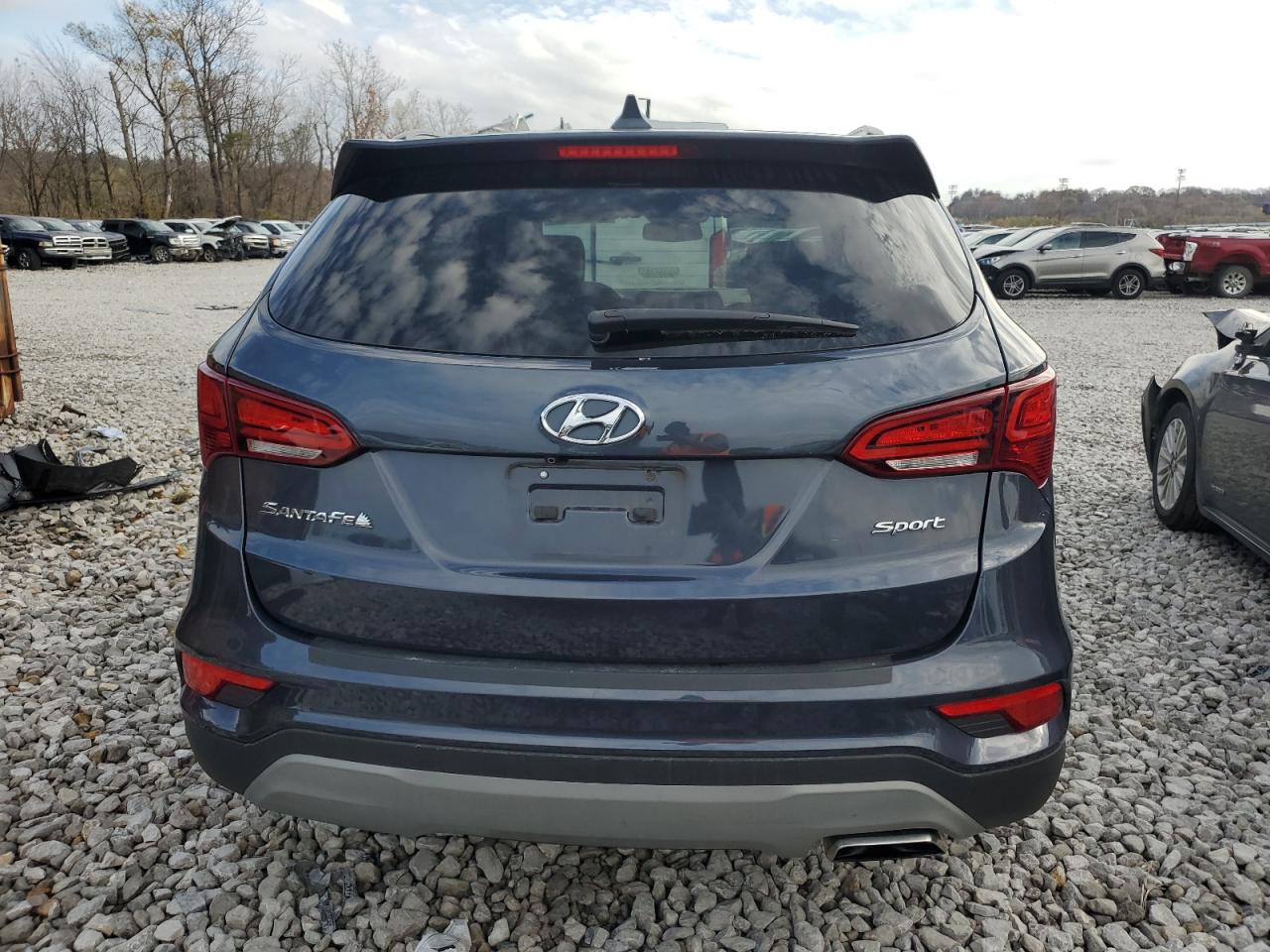 2018 Hyundai Santa Fe VIN 5NMZU3LB6JH083610 Copart auction photo, hail damage thumbnail 6