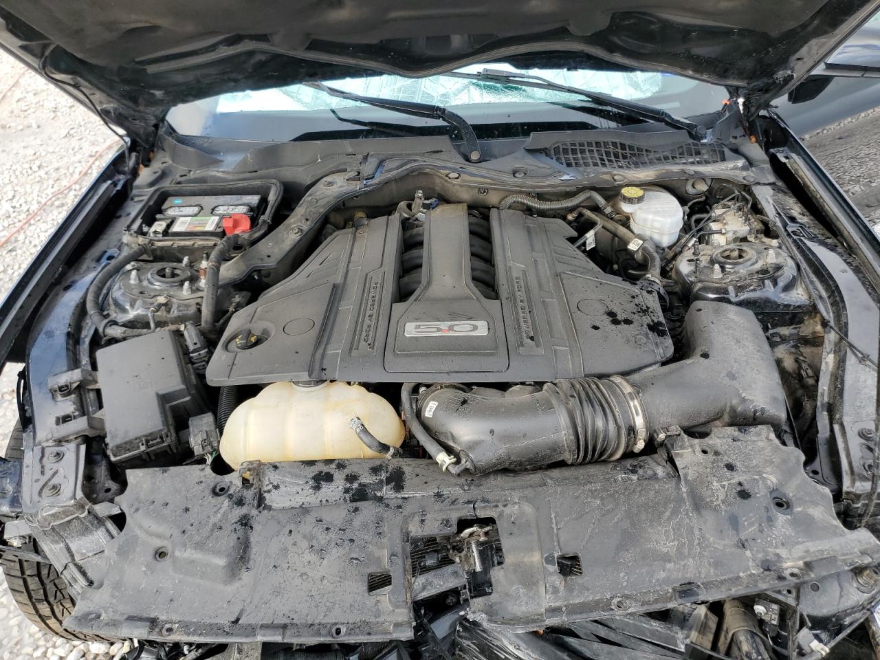 2021 Ford Mustang VIN 1FA6P8CF5M5156487 Copart auction photo, front end damage thumbnail 11