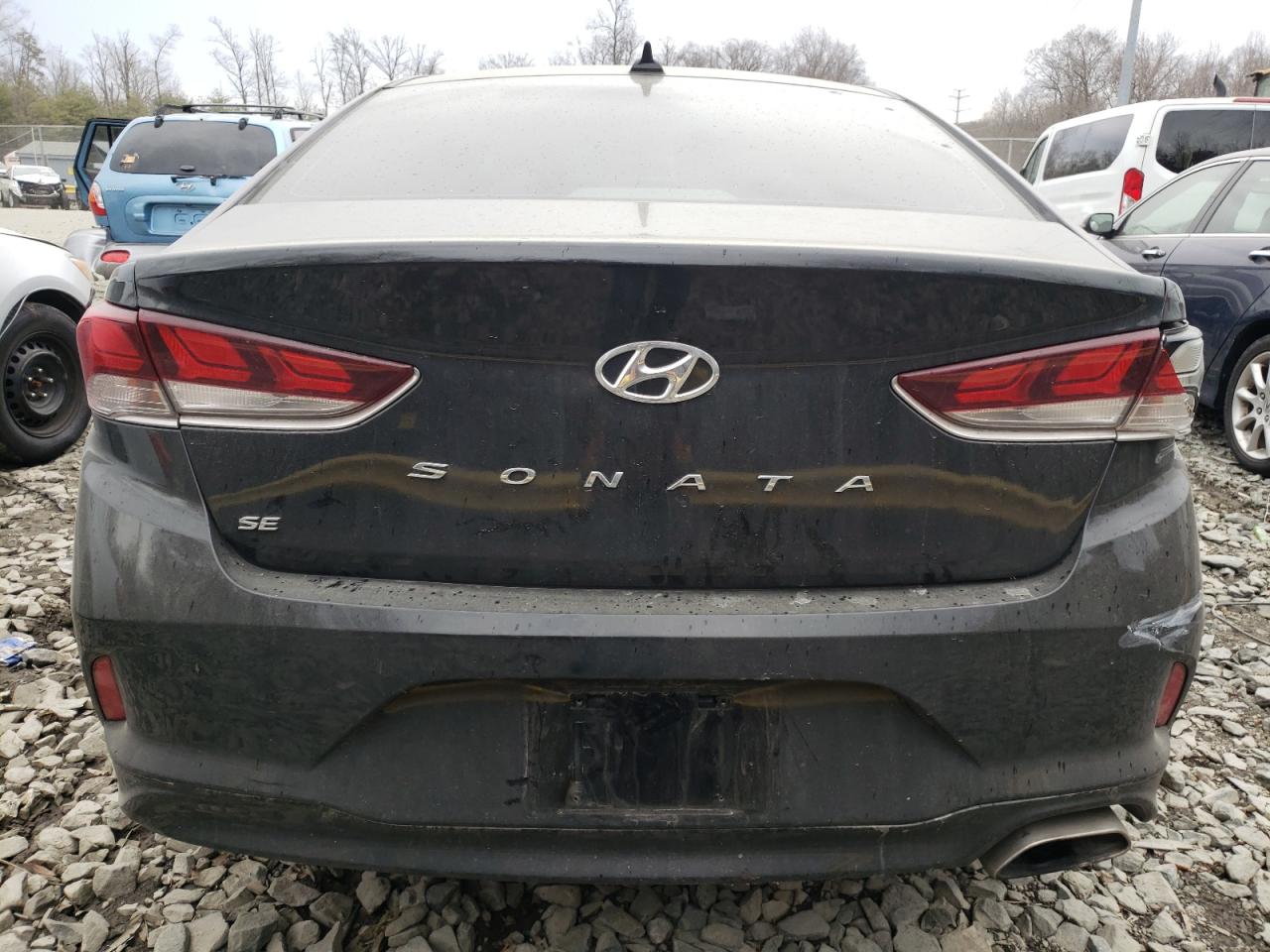 2019 Hyundai Sonata VIN 5NPE24AFXKH800823 Copart auction photo, vandalism / side damage thumbnail 6