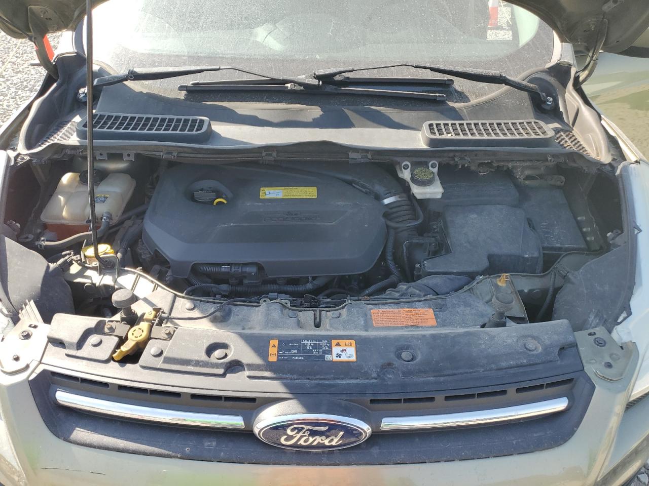 2013 Ford Escape VIN 1FMCU9GX5DUD66118 Copart auction photo, minor dent/scratches damage thumbnail 12