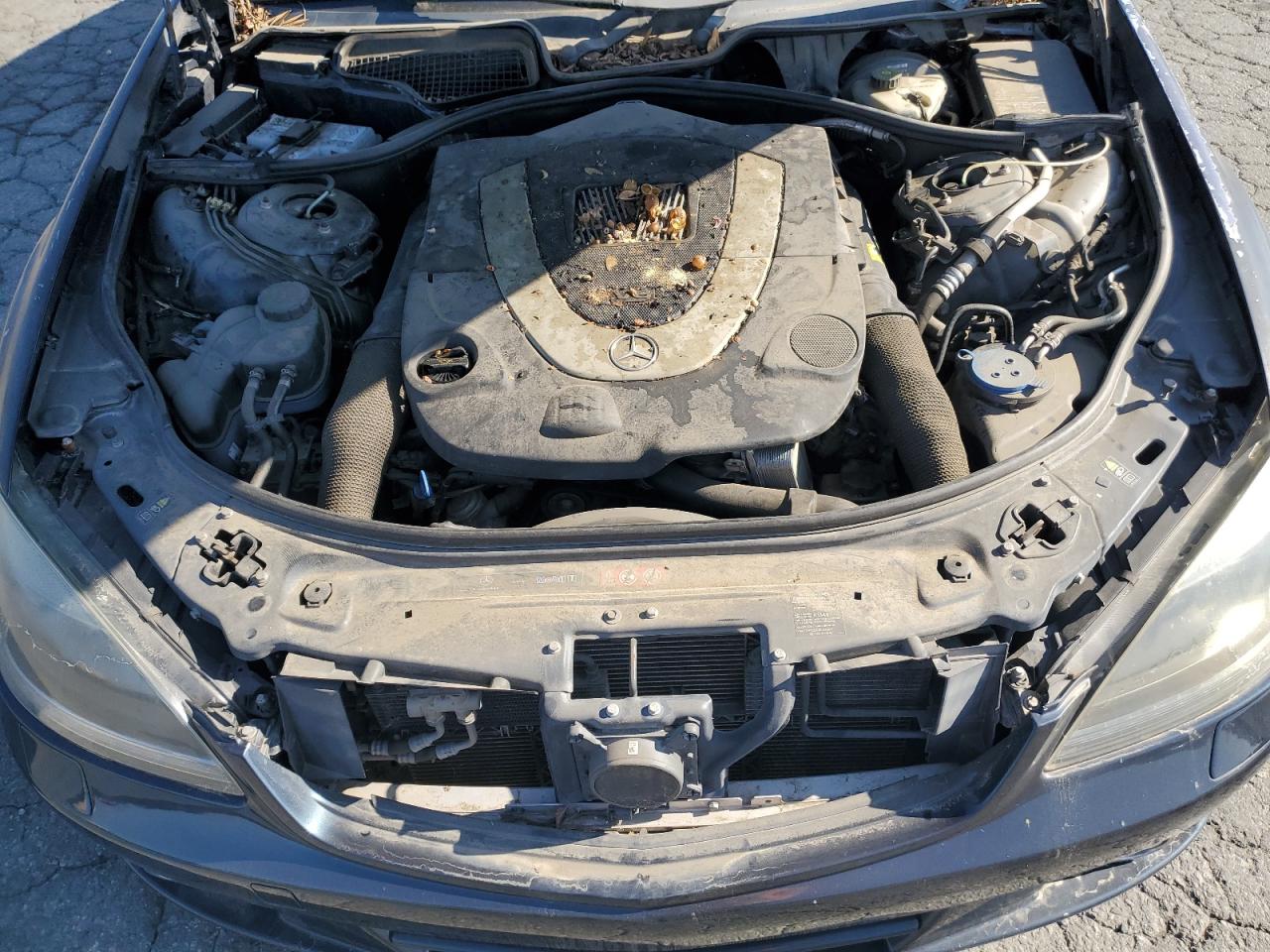 2007 Mercedes-Benz S-klasse VIN WDDNG71X17A150263 Copart auction photo, minor dent/scratches damage thumbnail 11