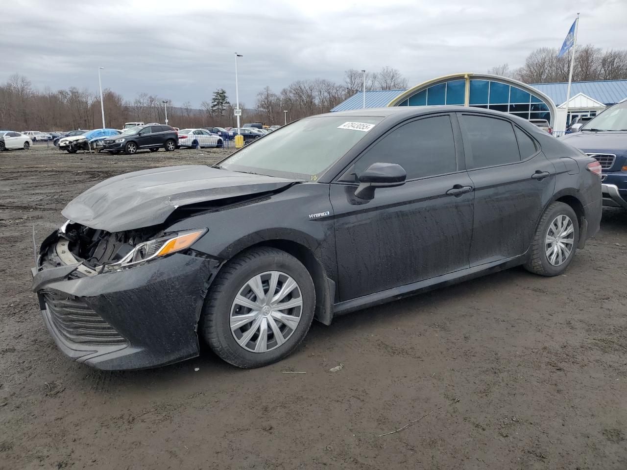 2019 Toyota Camry VIN 4T1B31HK8KU005109