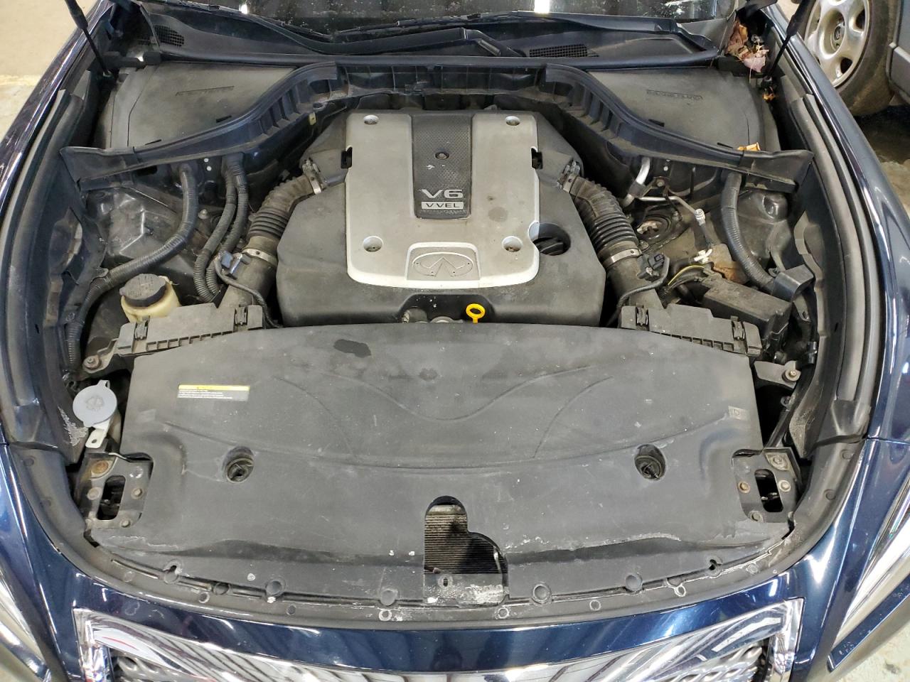 2016 Infiniti Q70 VIN JN1BY1AR1GM271403 Copart auction photo, side / minor dent/scratches damage thumbnail 12