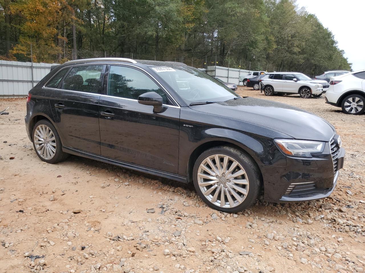 2017 Audi A3 VIN WAUTPBFF4HA129037 Copart auction photo, side damage thumbnail 4