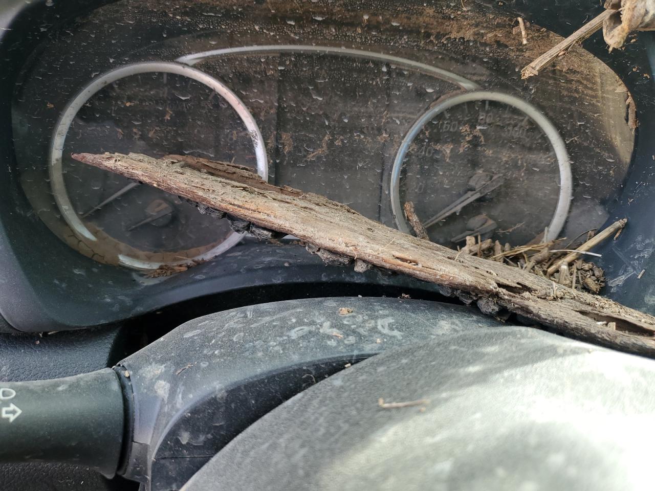 2019 Nissan Sentra VIN 3N1AB7AP2KY263489 Copart auction photo, water/flood / all over damage thumbnail 9