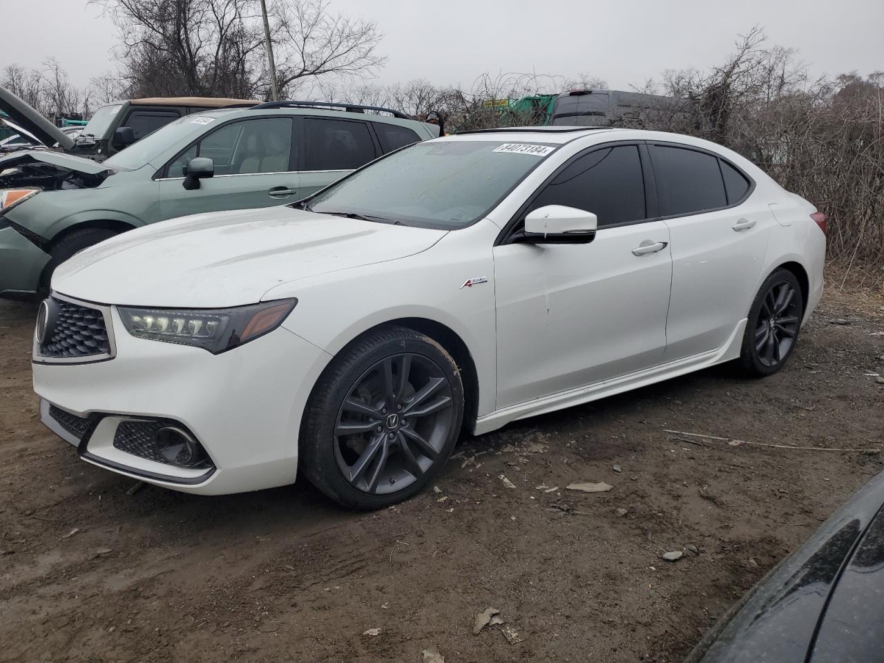 2019 Acura TLX VIN 19UUB3F66KA002858