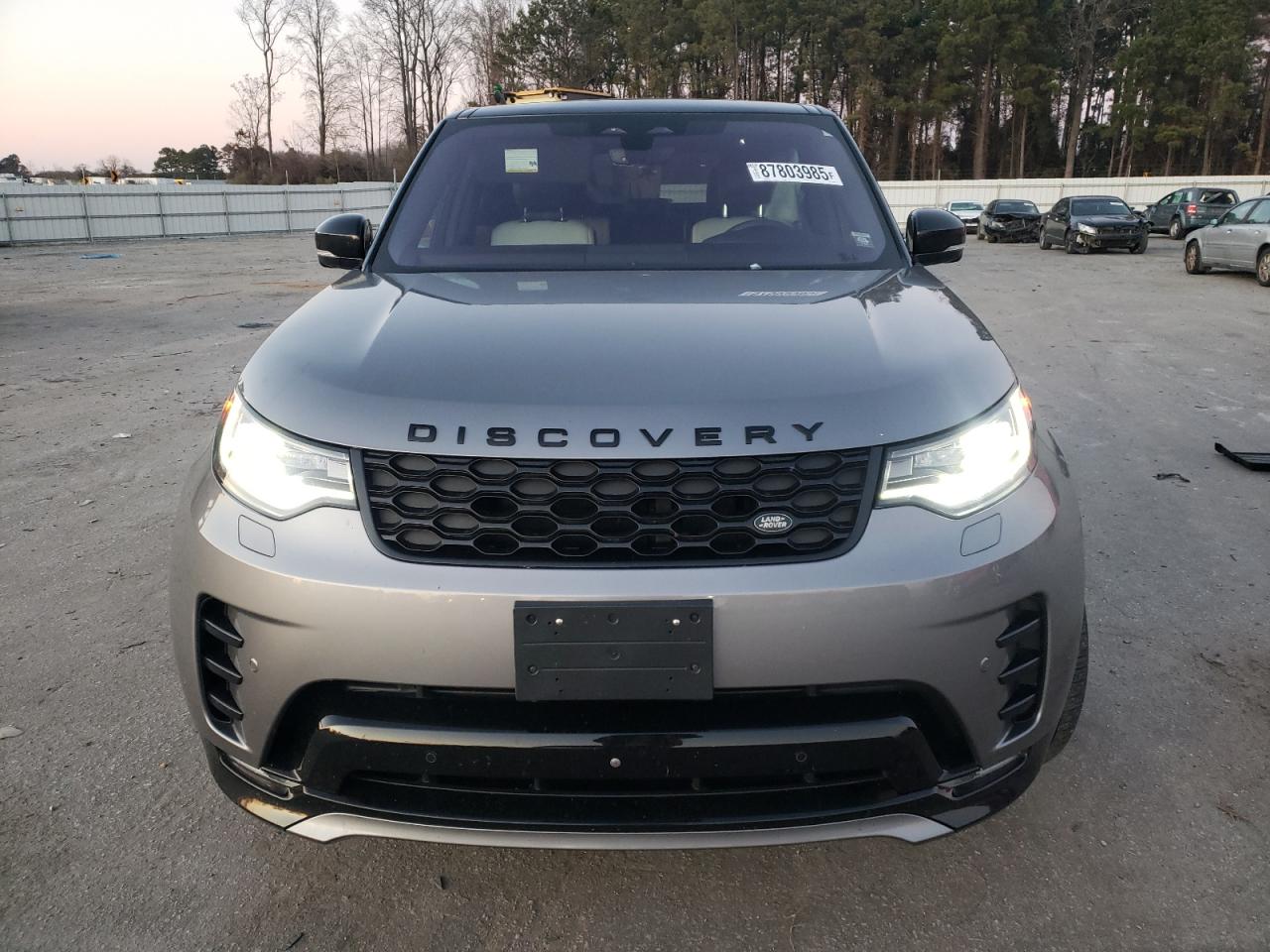 2021 Land Rover Discovery VIN SALRT2RXXM2448078 Copart auction photo, side / frame damage damage thumbnail 5