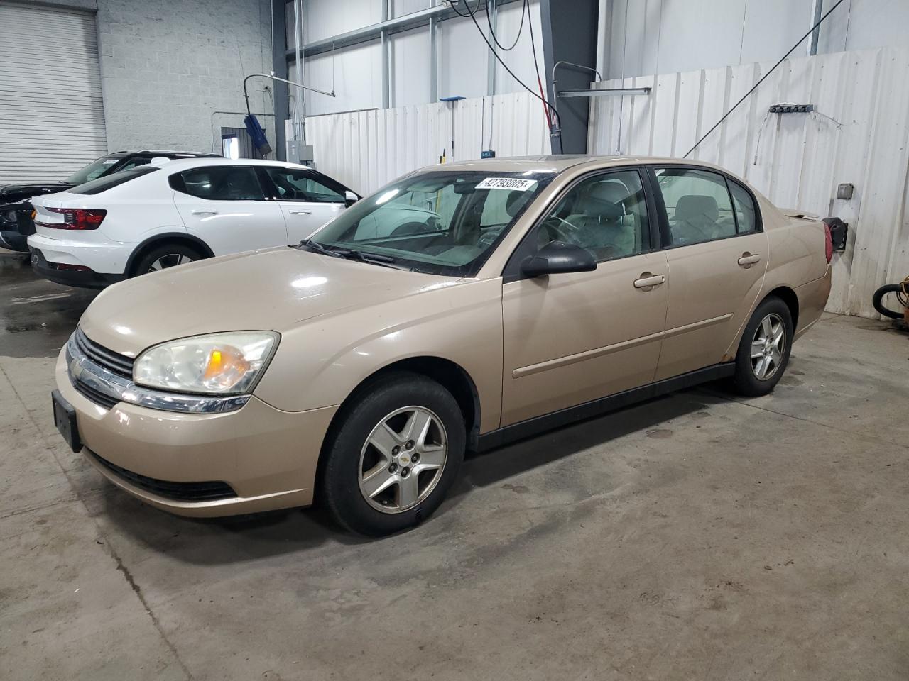 2005 Chevrolet Malibu VIN 1G1ZT54815F173826