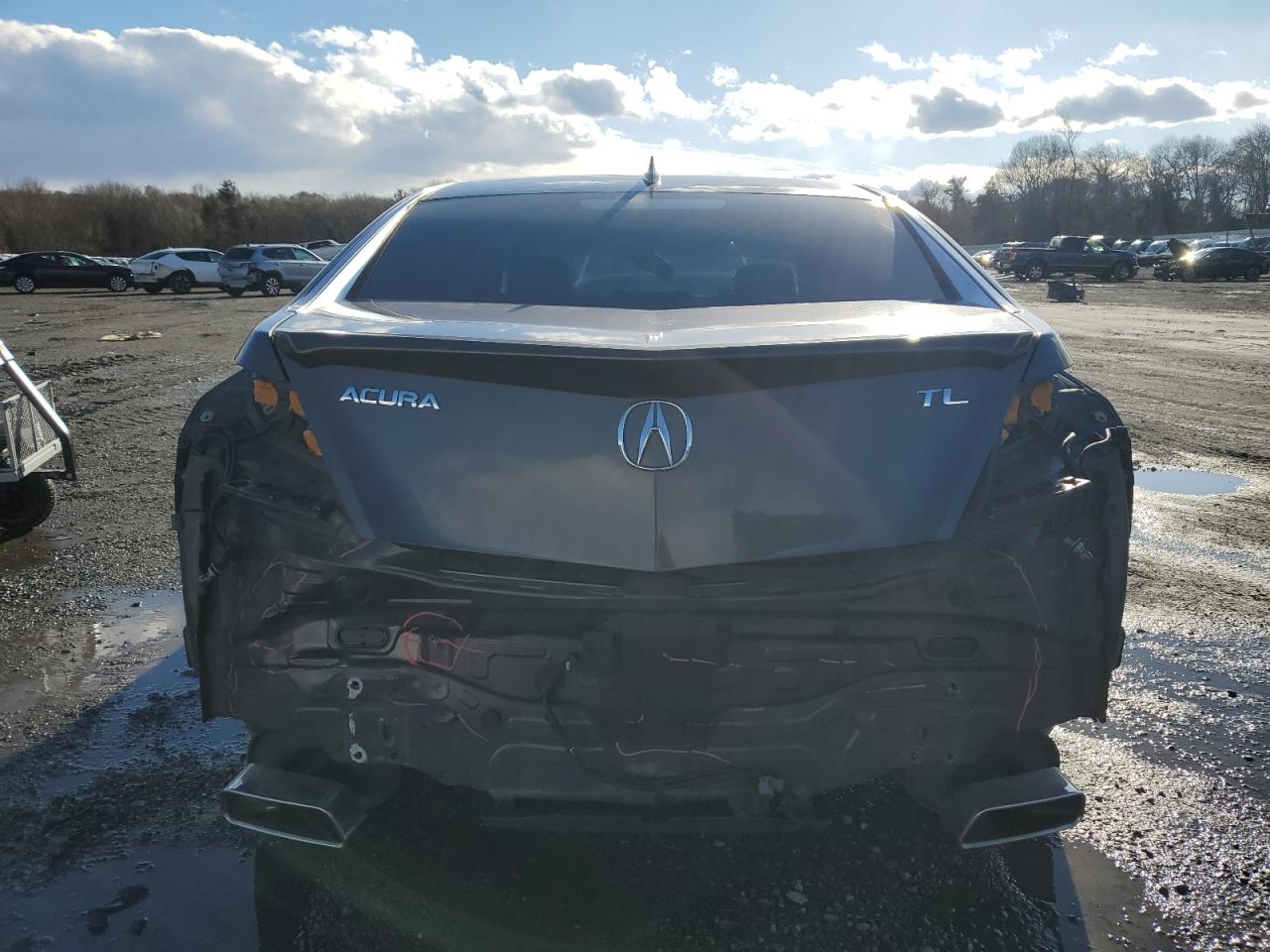 2009 Acura TL VIN 19UUA86209A005505 Copart auction photo, rear end damage thumbnail 6