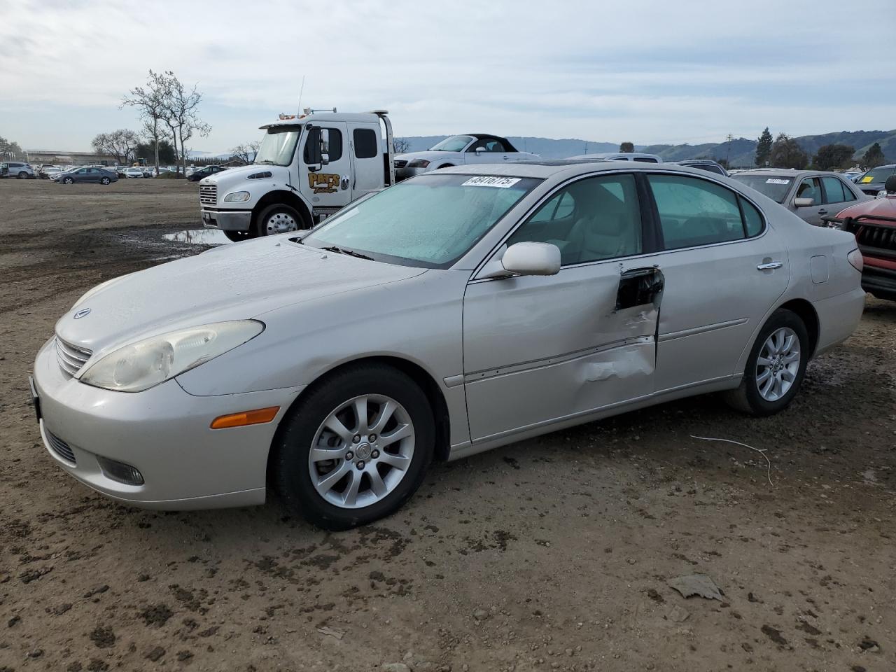2004 Lexus ES VIN JTHBA30G745013212