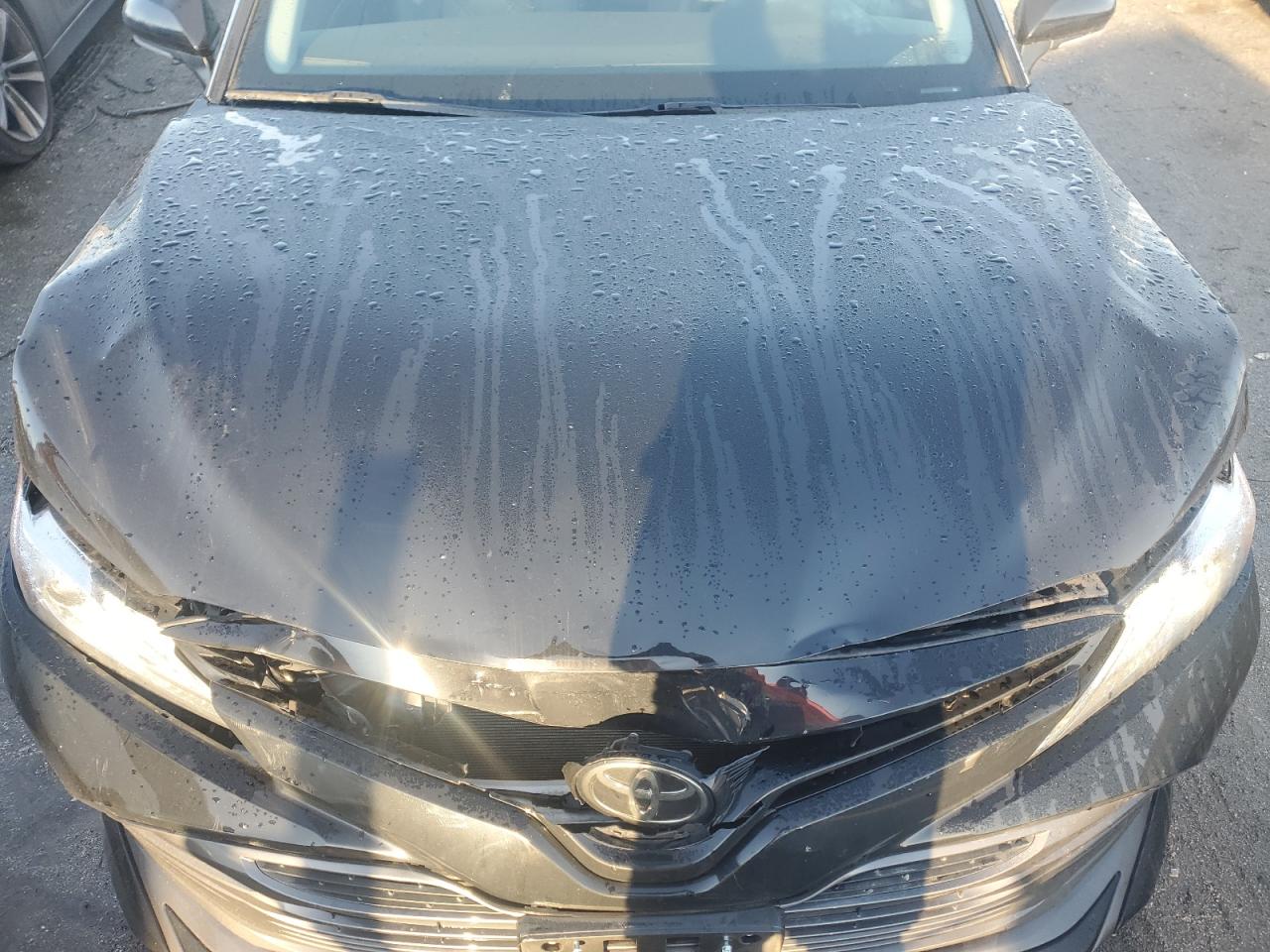 2019 Toyota Camry VIN 4T1B11HK5KU835536 Copart auction photo, rear end / front end damage thumbnail 11