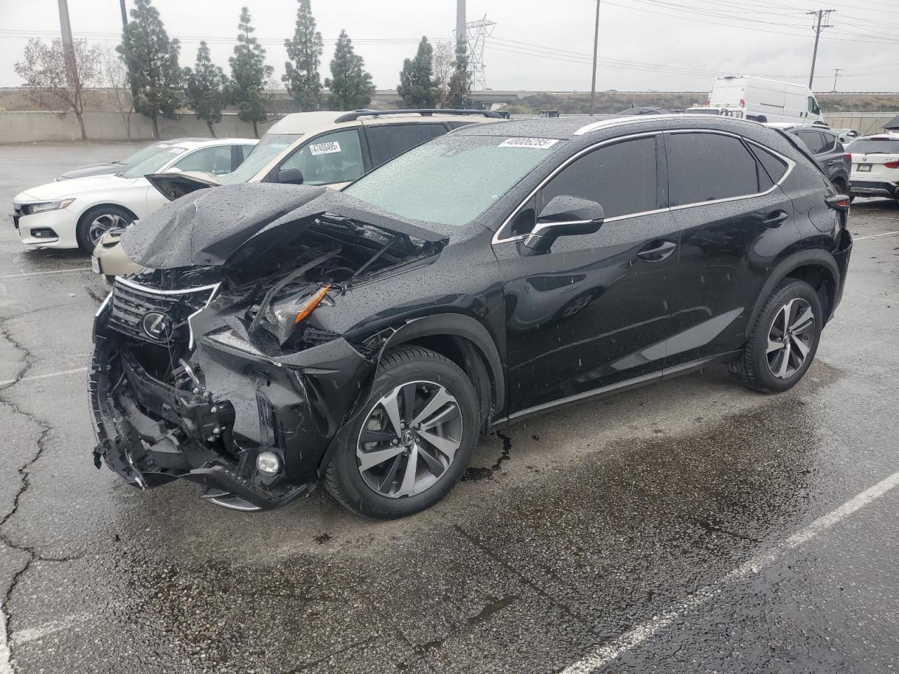 2019 Lexus NX VIN JTJYARBZXK2131585