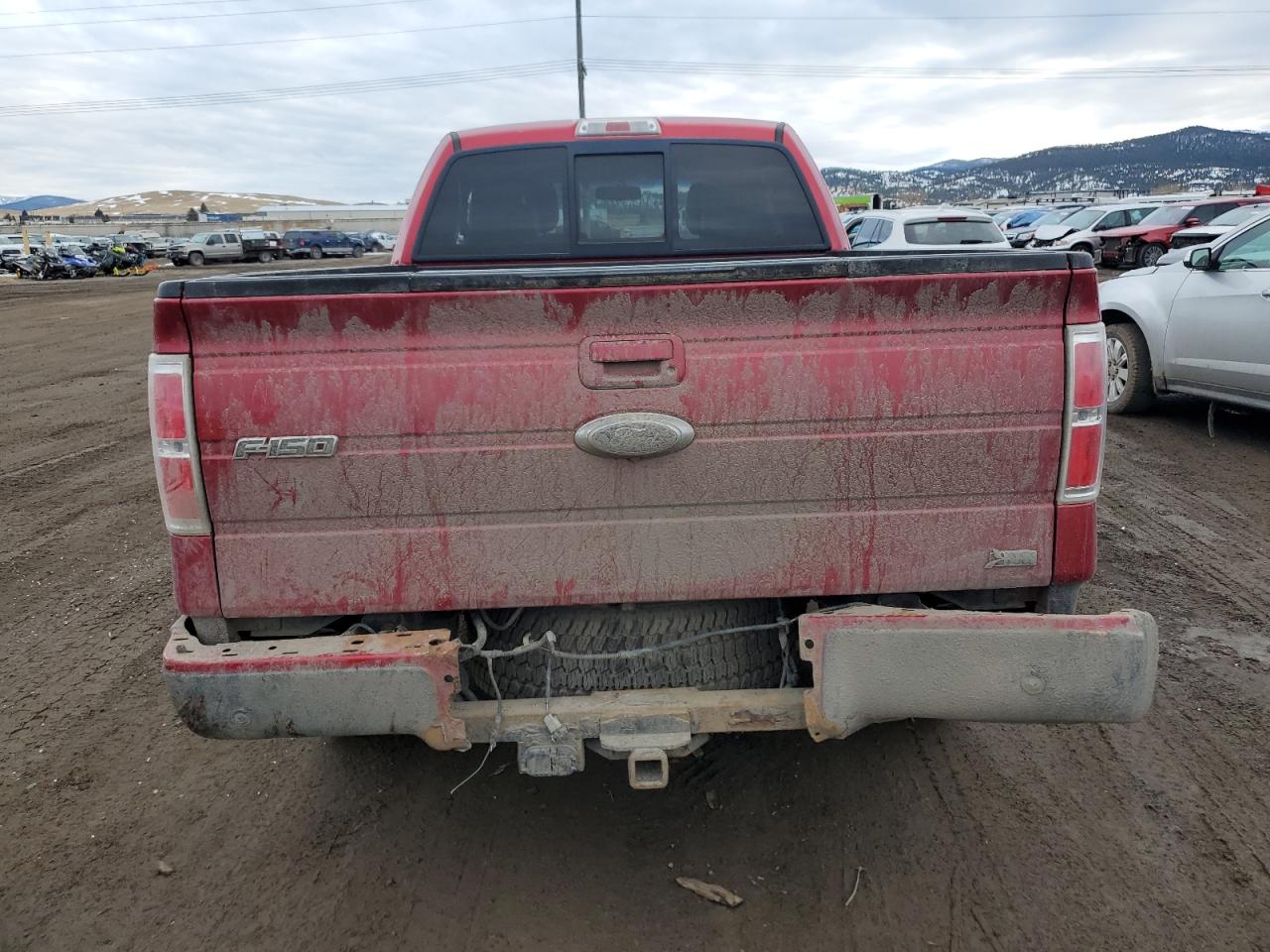 2010 Ford F-150 VIN 1FTFX1EV2AFD81820 Copart auction photo, all over damage thumbnail 6