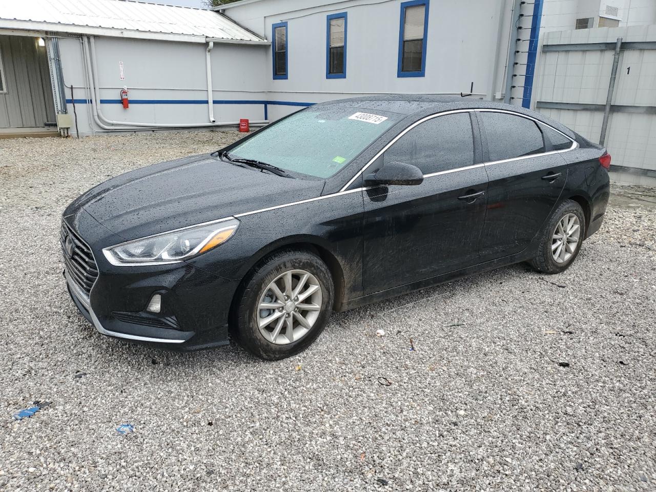 2019 Hyundai Sonata VIN 5NPE24AF6KH789853