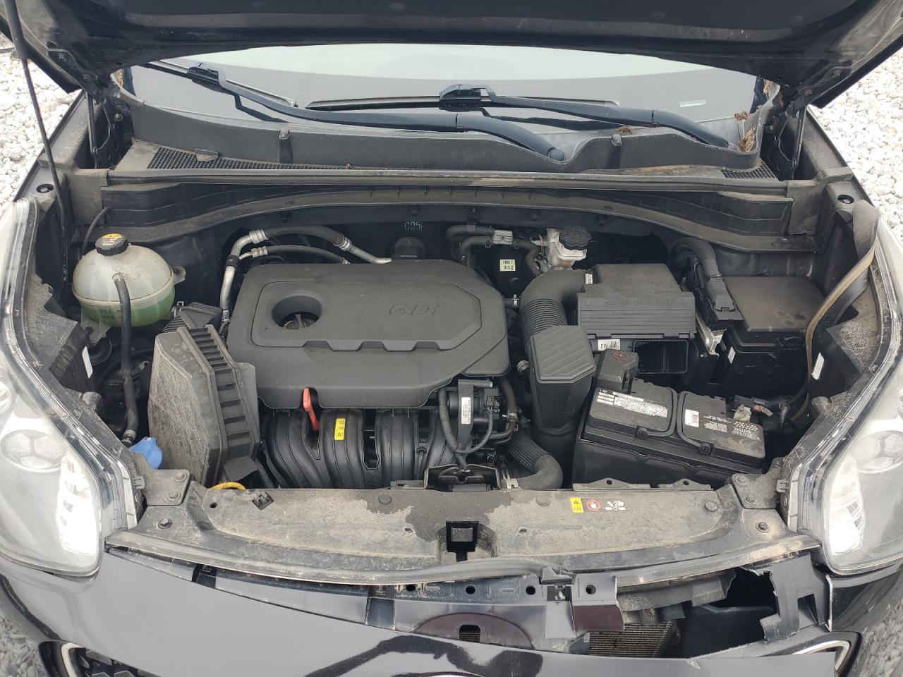 2019 KIA Sportage VIN KNDPM3AC6K7505564 Copart auction photo, side / front end damage thumbnail 12