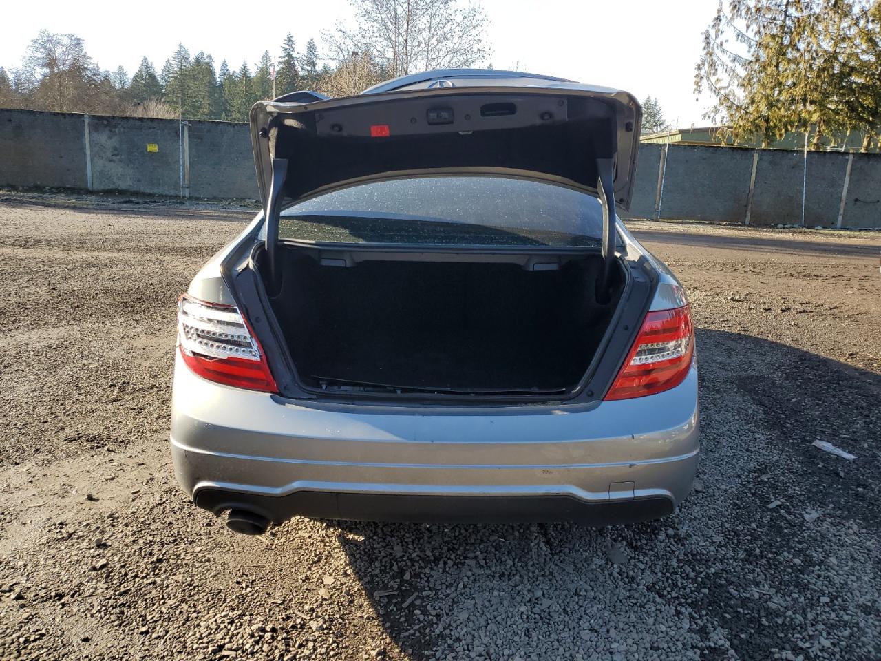 2013 Mercedes-Benz C-klasse VIN WDDGJ4HB6DF979296 Copart auction photo, rear end damage thumbnail 6