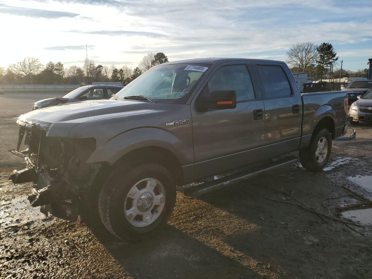 2013 Ford F-150 VIN 1FTEW1CMXDKE24711