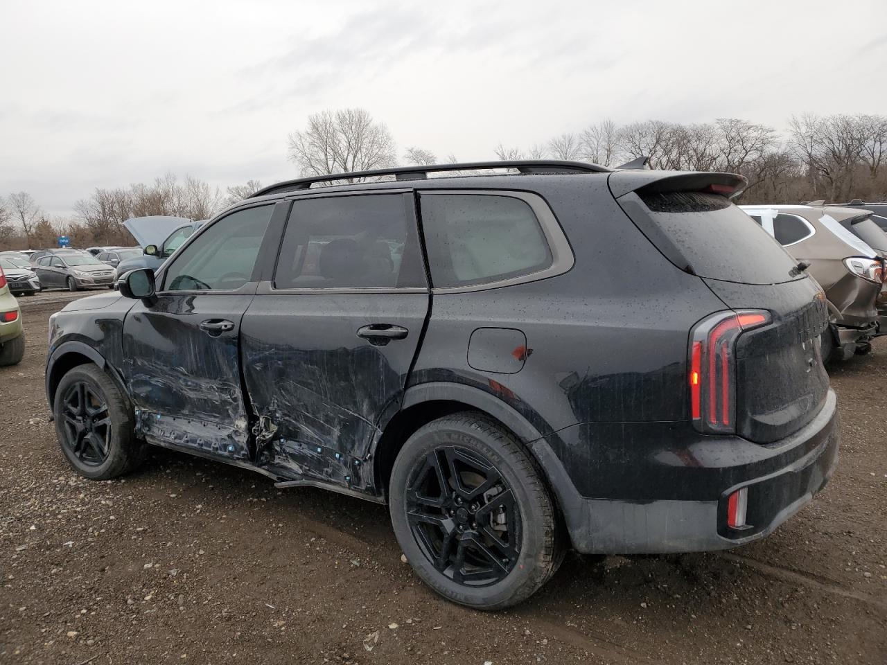 2025 KIA Telluride VIN 5XYP5DGC1SG588592 Copart auction photo, side damage thumbnail 2