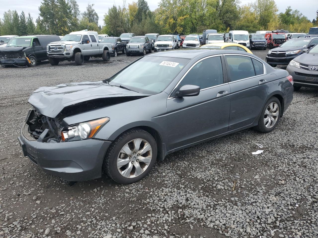 2009 Honda Accord VIN 1HGCP26859A177850