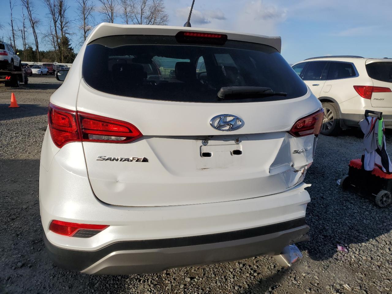 2018 Hyundai Santa Fe VIN 5NMZTDLB3JH081810 Copart auction photo, front end / rear end damage thumbnail 6