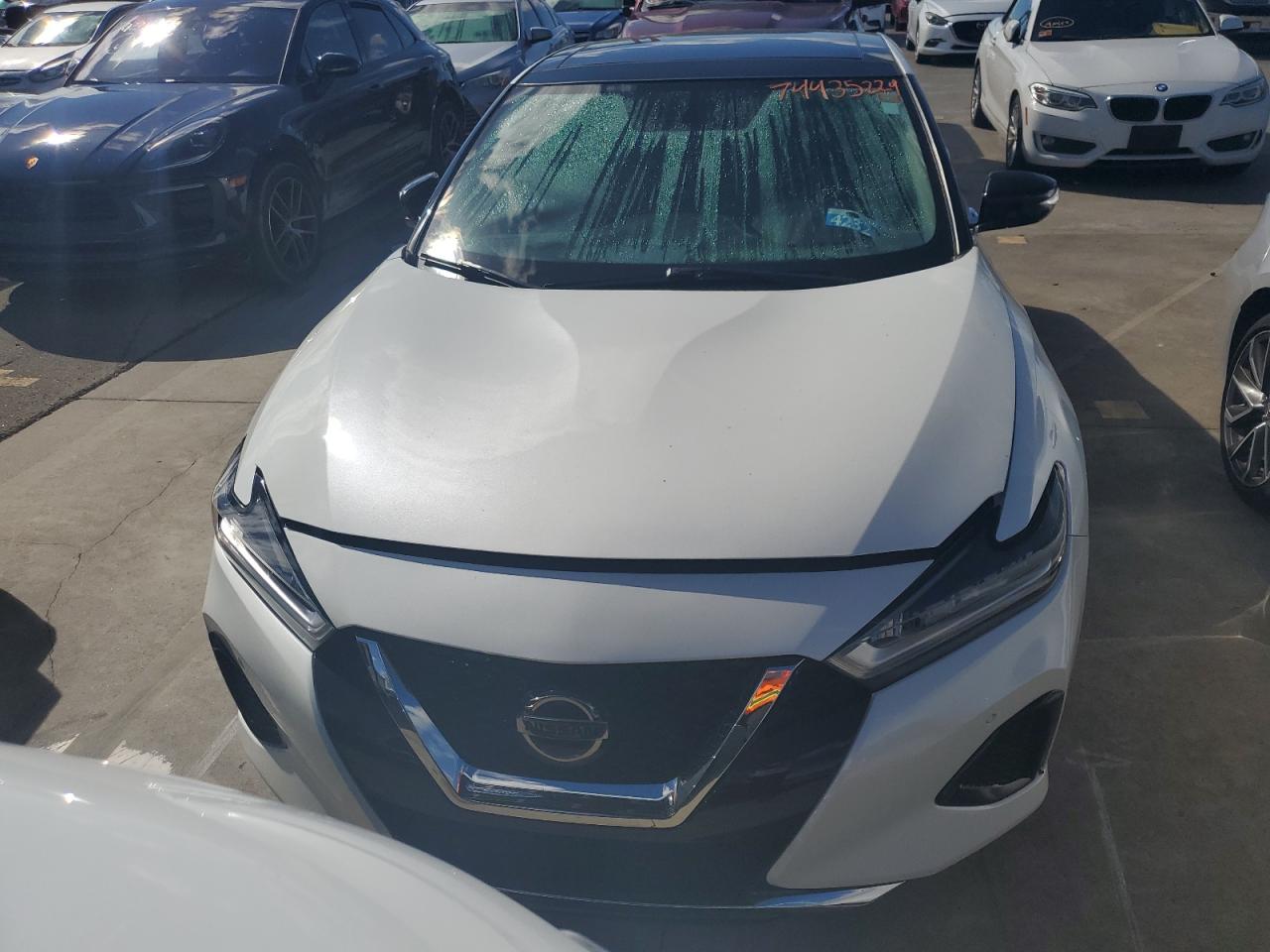 2019 Nissan Maxima VIN 1N4AA6AV9KC372880 Copart auction photo, water/flood damage thumbnail 5