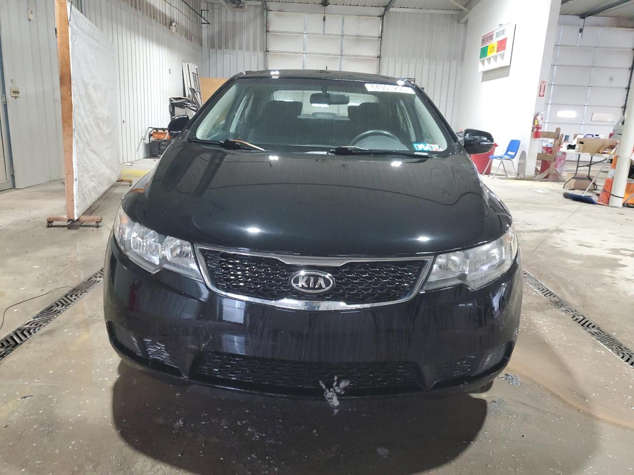 2012 KIA Forte VIN KNAFU4A23C5630332 Copart auction photo, rear end damage thumbnail 5