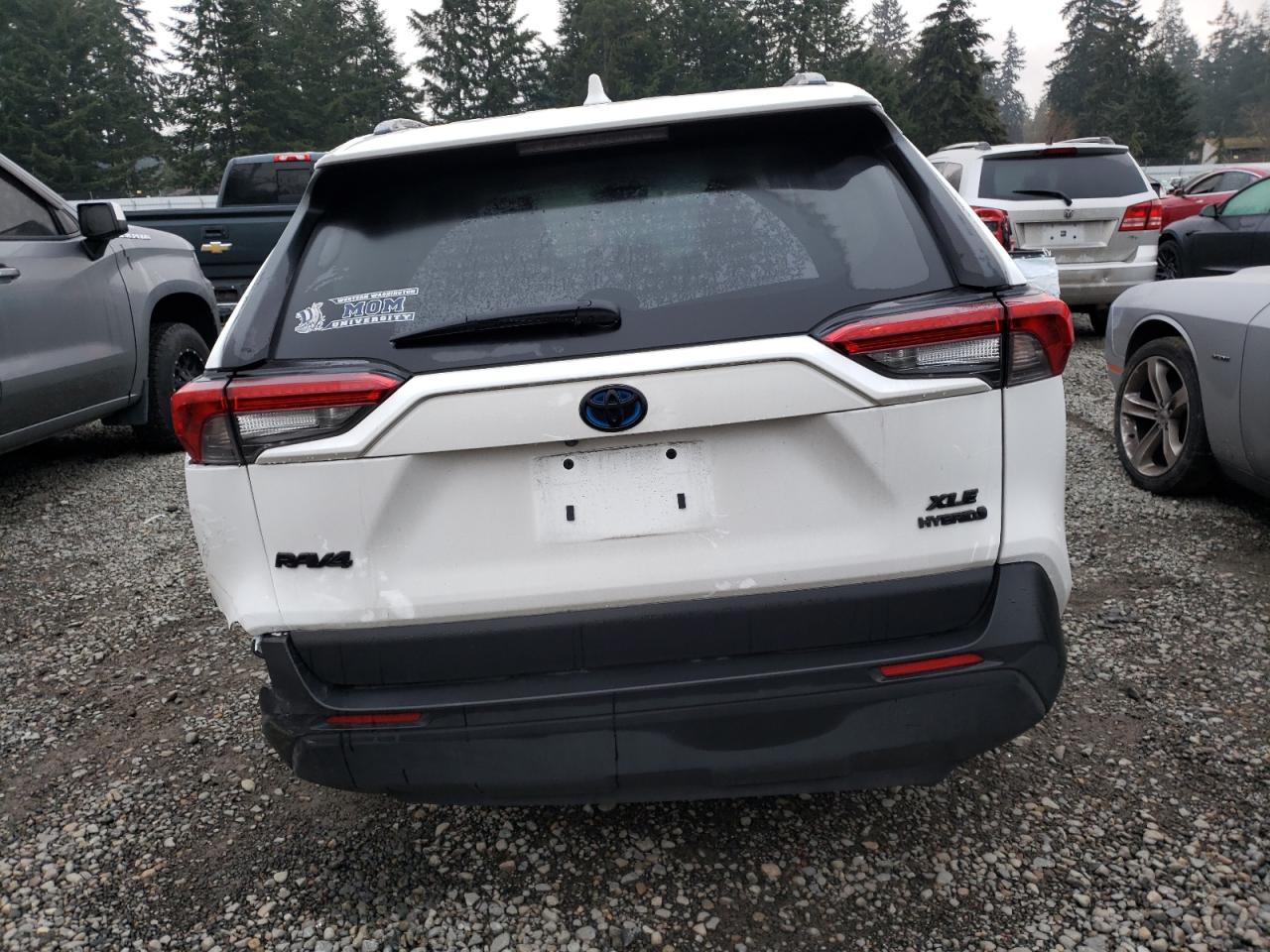2023 Toyota RAV 4 VIN 4T3RWRFV7PU103094 Copart auction photo, all over damage thumbnail 6