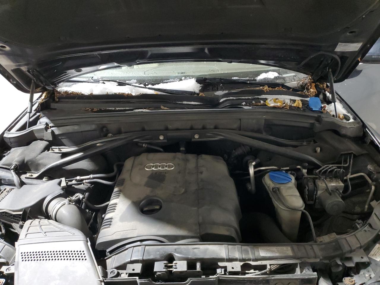 2014 Audi Q5 VIN WA1LFAFP0EA012330 Copart auction photo, minor dent/scratches damage thumbnail 11
