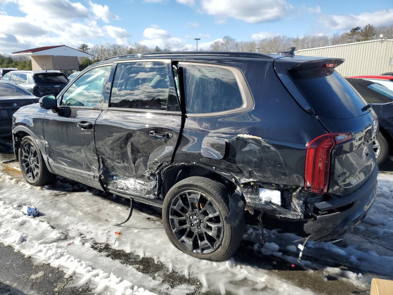 2022 KIA Telluride VIN 5XYP5DHC8NG229890 Copart auction photo, side / rear end damage thumbnail 2