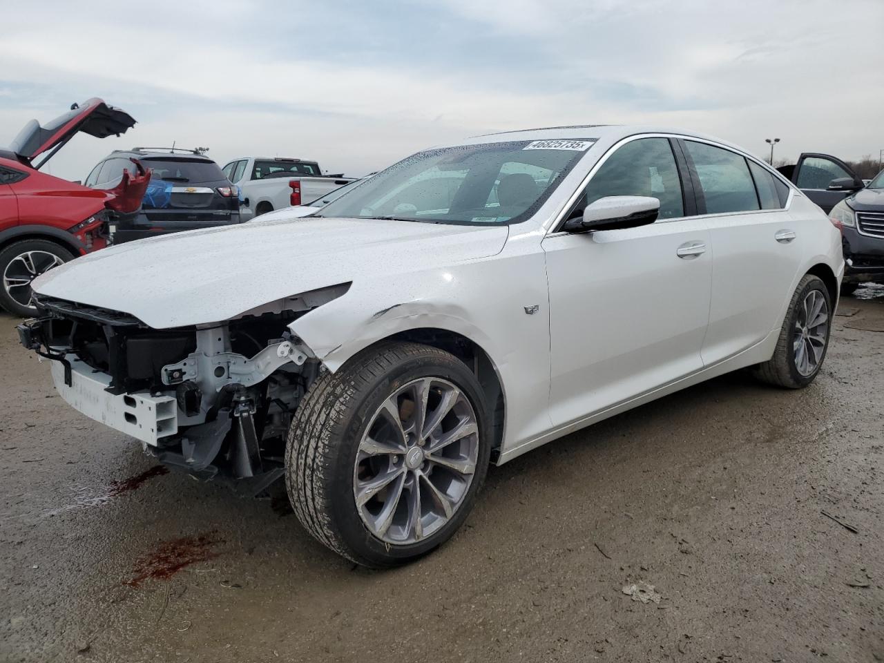 2024 Cadillac CT5 VIN 1G6DT5RW9R0130095 - Copart auction photo