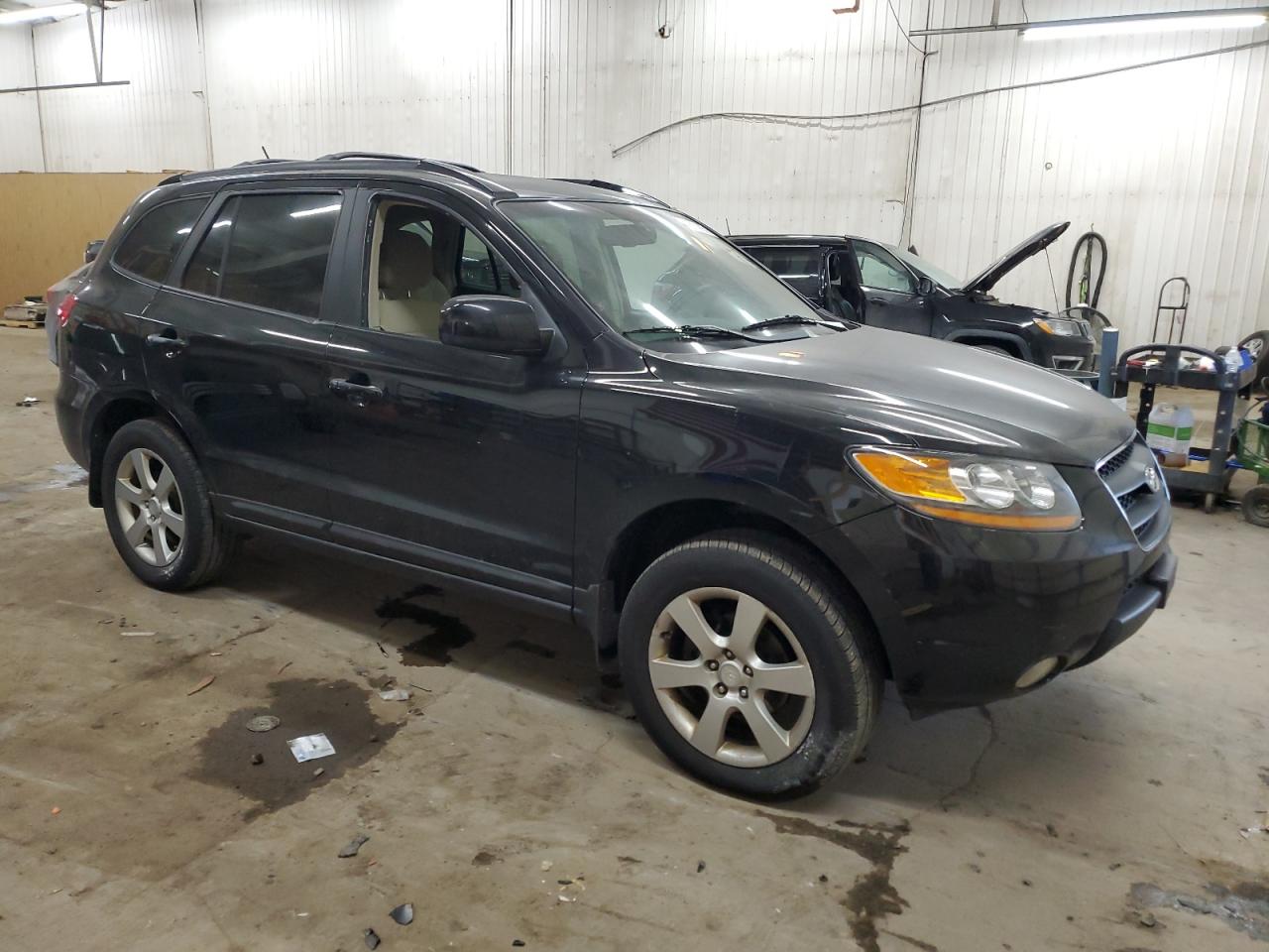 2009 Hyundai Santa Fe VIN 5NMSH13E89H328102 Copart auction photo, vandalism damage thumbnail 4