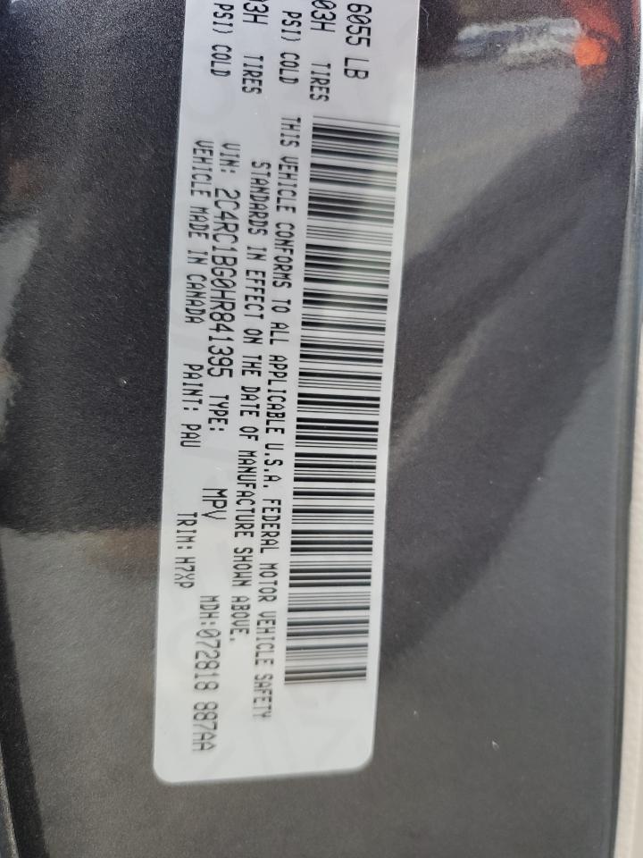 2017 Chrysler Pacifica VIN 2C4RC1BG0HR841395 Copart auction photo, all over damage thumbnail 13