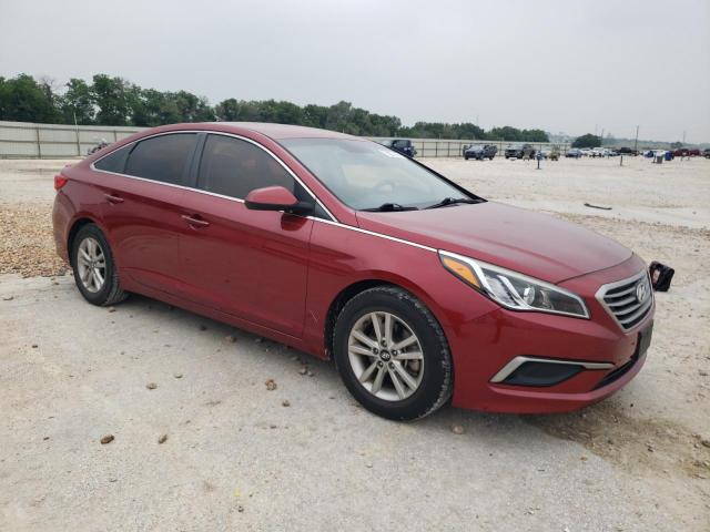 2016 Hyundai Sonata VIN 5NPE24AF4GH407648 Copart auction photo, hail damage thumbnail 4