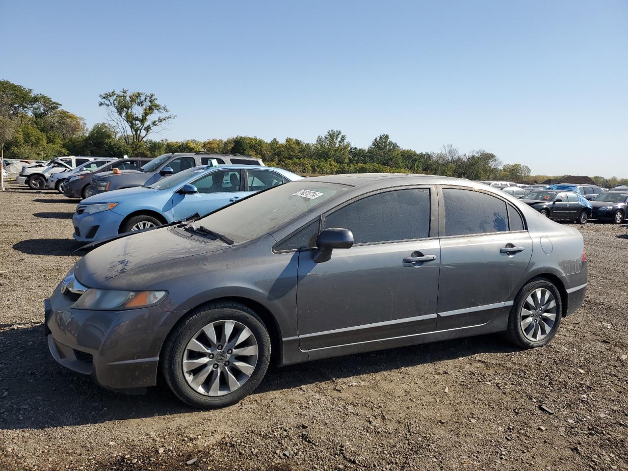 2010 Honda Civic VIN 19XFA1F82AE013559