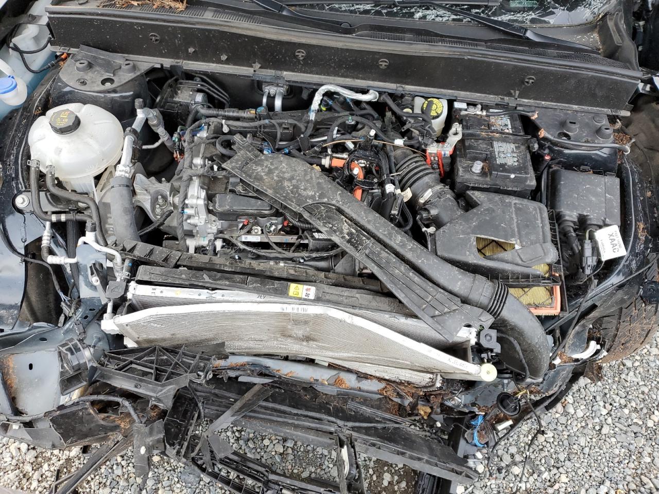 2023 Ford Bronco VIN 3FMCR9G60PRD08695 Copart auction photo, all over damage thumbnail 12